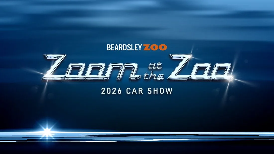 Zoom at the Zoo