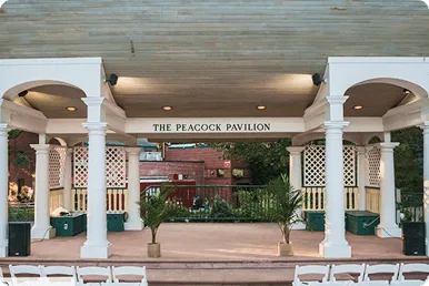 Picnic Grove