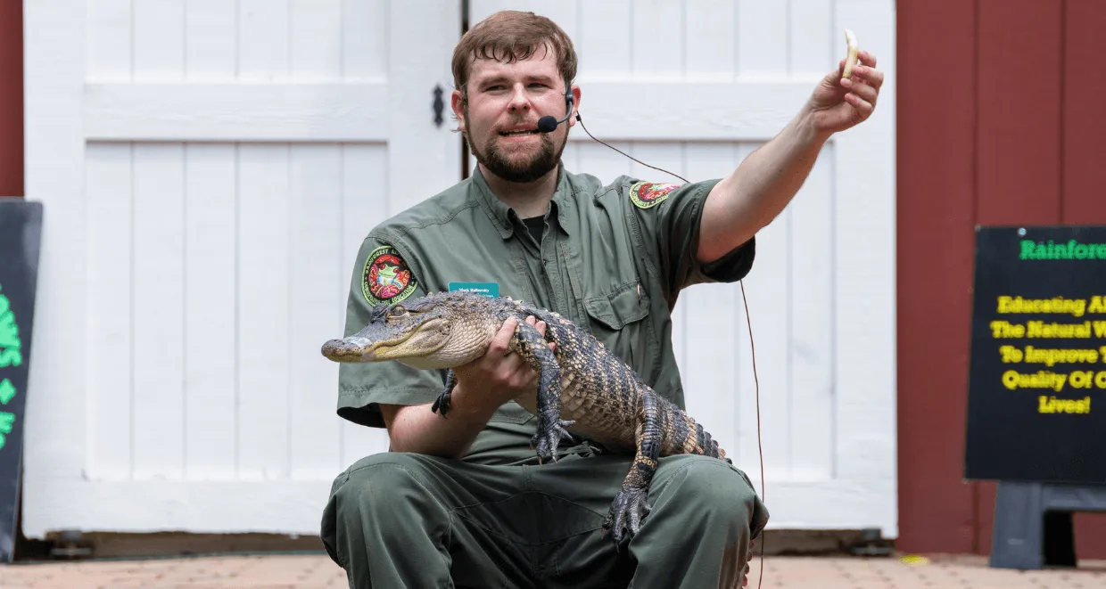 Rainforest Reptile Educator showing off a reptile during show