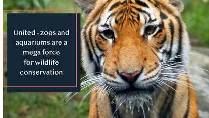 Connecticut's Beardsley Zoo Joins Forces with Zoos and Aquariums to Protect Wildlife and Wild Places Across the World