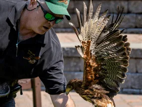 Get Ready for Adventure: Connecticut's Beardsley Zoo Unveils the 2024 Summer Calendar Lineup