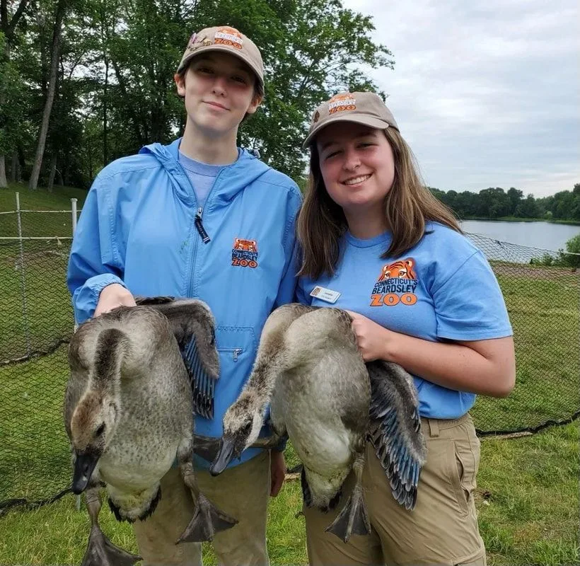 CDC: Conservation Discovery Corps