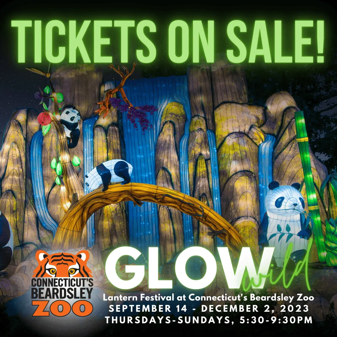 Tickets On Sale Now for Connecticut's Beardsley Zoo's Second "Glow Wild" Lantern Festival