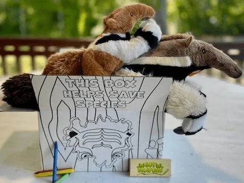 Animal Adoption