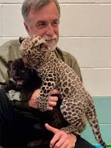 Welcome to the Zoo's New Blog: The Hidden Zoo!