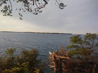 Stories From the Field: Snakes Rebound on the Greatest Great Lake