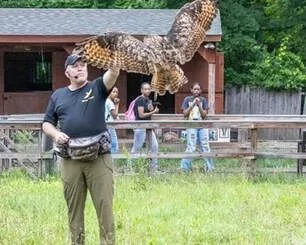 Soar Into Adventure at Connecticut's Beardsley Zoo for the Wings Up Experience of "Skyhunters in Flight"