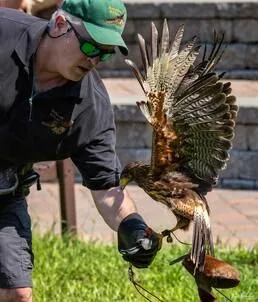 Connecticut's Beardsley Zoo Unveils a Wildly Entertaining 2025 Summer Season