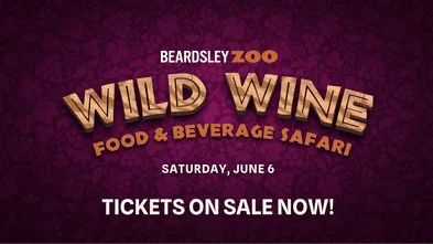 TICKETS ON SALE FOR THE 20TH ANNIVERSARY OF BEARDSLEY ZOO'S WILD WINE, FOOD & BEVERAGE SAFARI!