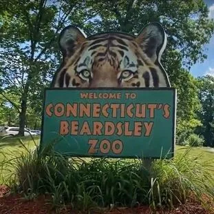 Connecticut's Beardsley Zoo Hosts Safe Capture Training Course on April 19 and 20